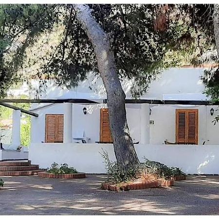 Villa Il Glicine Вулкано Экстерьер фото